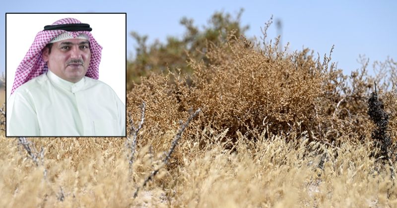 مدير دائرة الجودة في معهد الأبحاث لـ«الراي»: تزايد «حبوب اللقاح» في يوليو.. يزيد الحساسية