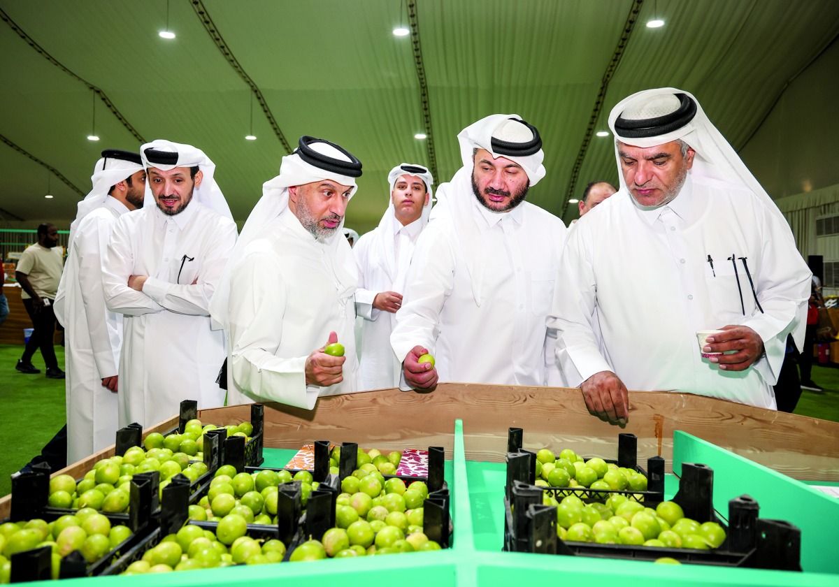 رعاية «البلدية» وفي سوق واقف.. 125 مزرعة قطرية تزيِّن مهرجان الرطب المحلي