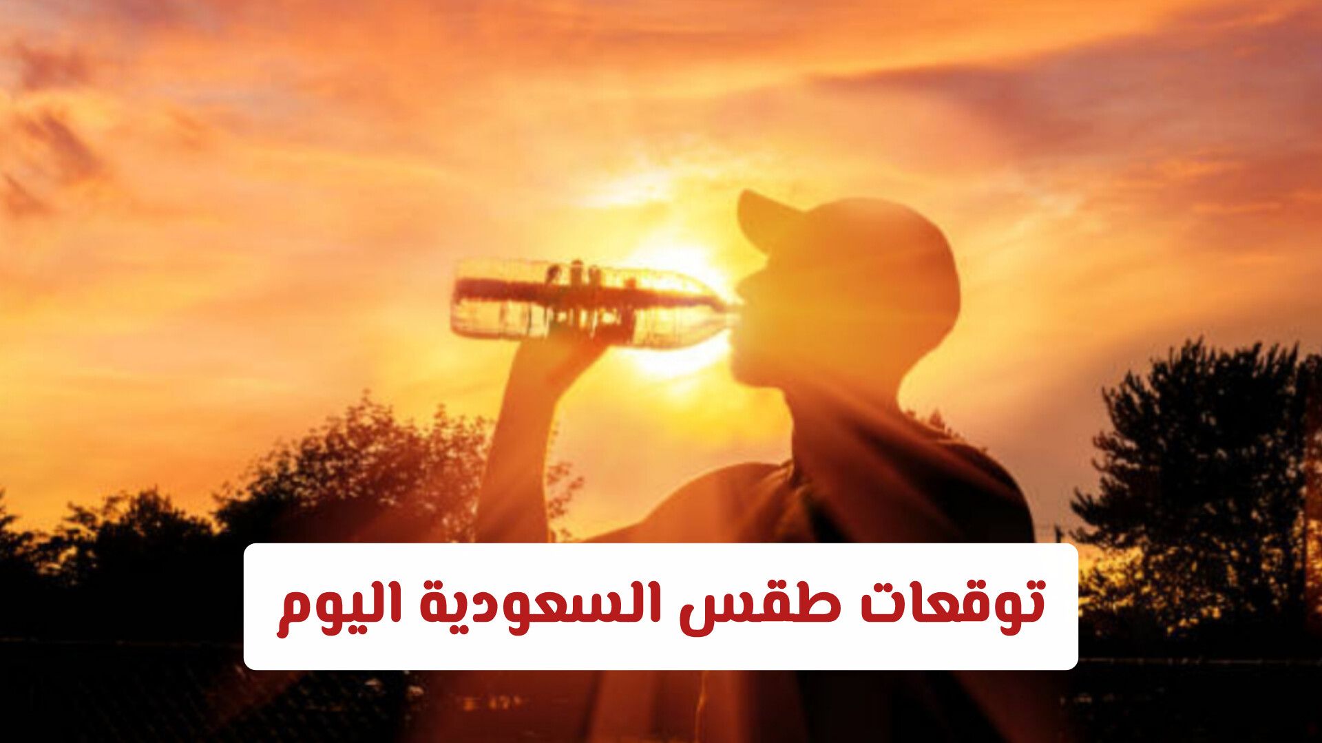 توقعات طقس السعودية اليوم: موجة حر شديدة وعواصف ترابية تضرب عدة مناطق (تفاصيل النشرة)