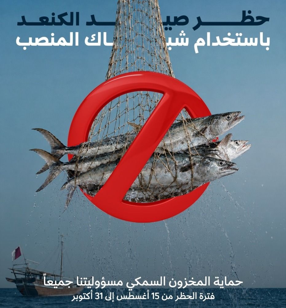 حظر الصيد من منتصف أغسطس حتى 31 أكتوبر.. البلدية: 3.5 طن حصيلة إنتاج أسماك الكنعد في 2025