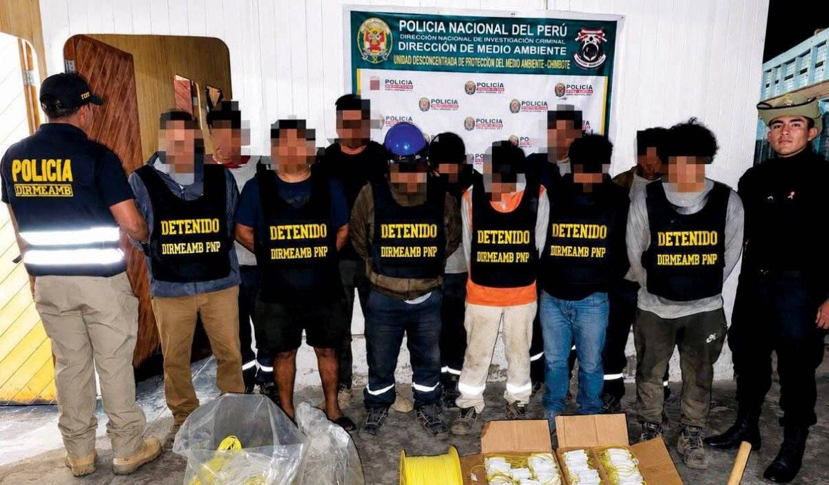 بقيادة الإمارات.. تفكيك شبكات الجريمة البيئية في حوض الأمازون