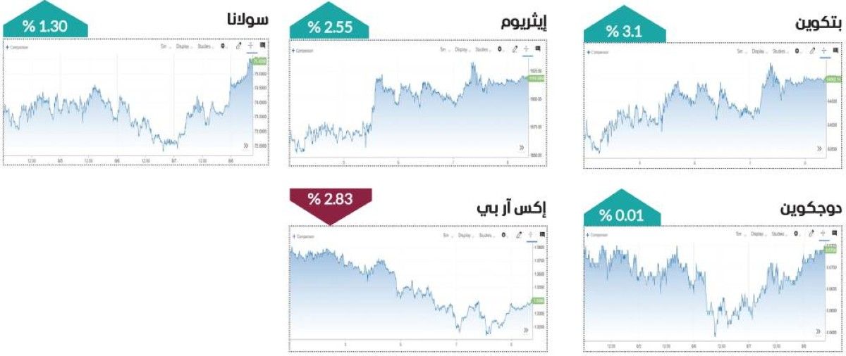 مكاسب شبه جماعية للعملات المشفرة في أسبوع