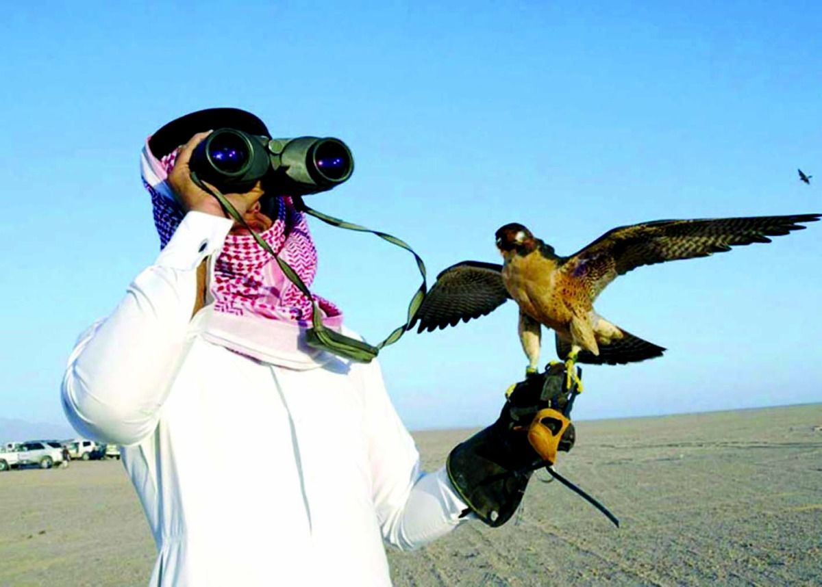 «البيئة» تدعو للالتزام بالأنواع المسموح بها.. موسم صيد الطيور المهاجرة ينطلق أول سبتمبر