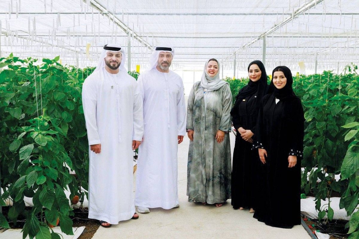 غداً بدء التسجيل بجائزة تحدي الأثر المستدام – الفئة الزراعية