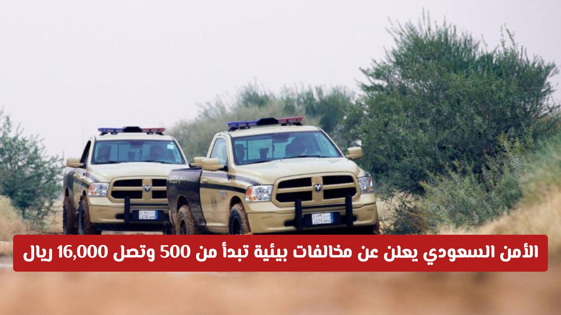 الأمن يعلن فرض غرامات على مخالفات البيئة تصل 16,000 ريال سعودي ولو دون قصد