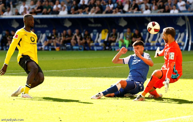 دورتموند ينتزع نقاط هوفنهايم.. وإلفرسبيرج يصدم جلادباخ