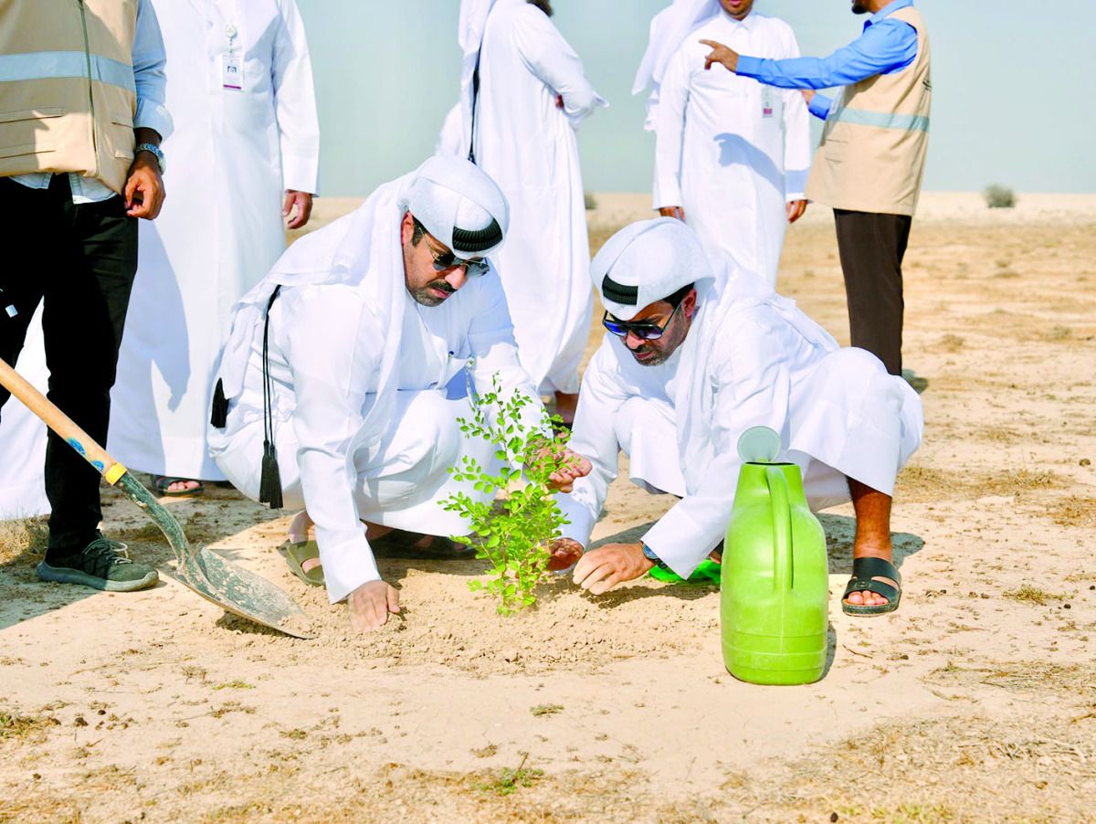 «البيئة» تعيد تأهيل روضة «حوطان»
