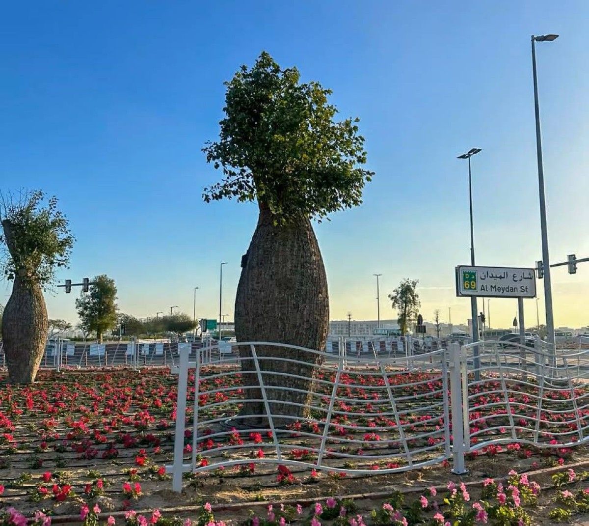 الأشجار في المدن.. سلاح طبيعي لمواجهة الحر وتحسين جودة الحياة