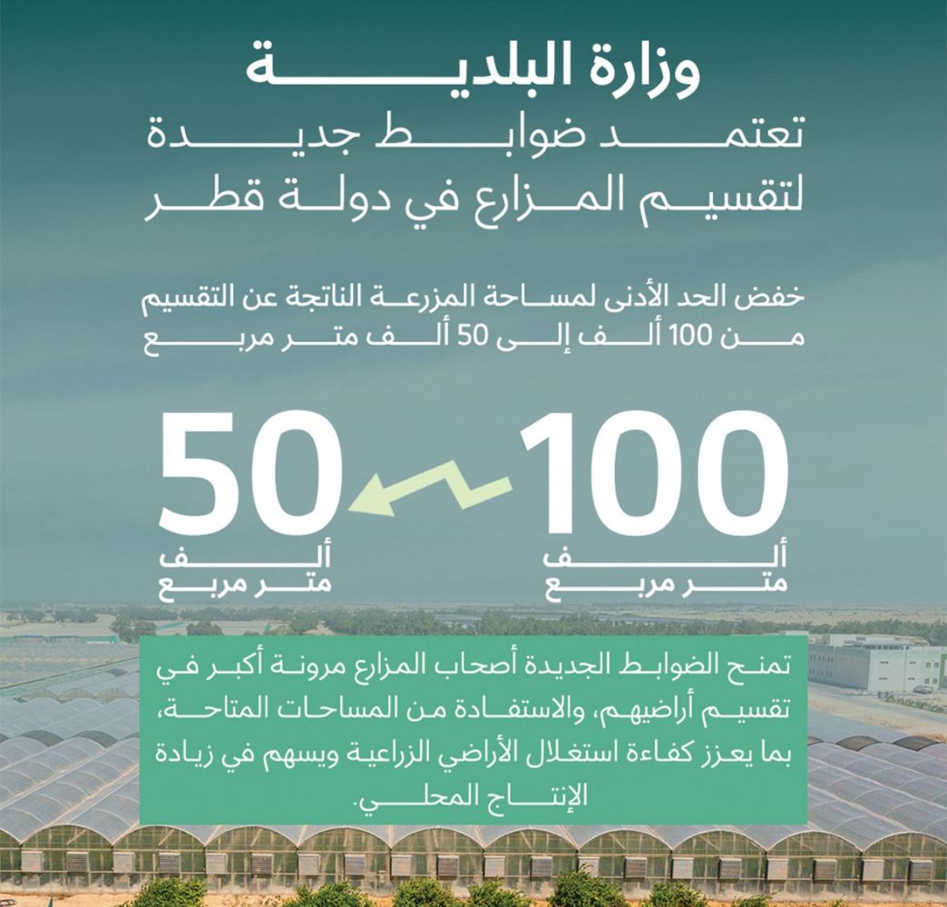 البلدية: خفض مساحة تقسيم المزارع من 100 إلى 50 ألف متر