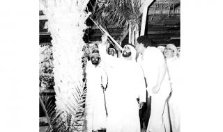 رؤية زايد للاستدامة.. دمج قضايا البيئة في مناهج التعليم