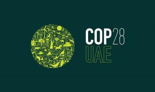 الإمارات تعفي وسائل الإعلام من بعض الرسوم الاتحادية خلال تغطية (COP28)