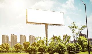 امانة المدينة تطلق مشروع اللوحات الإعلانية الرقمية على الحافلات والسيارات الأجرة