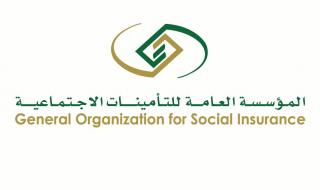 بالخطوات: كيفية الاستعلام عن قيمة المعاش المستحق والزيادات المقررة والرقم التأميني