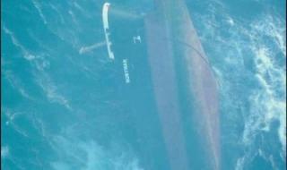 رويترز: وكالة شحن أممية تقول إن هجمات الحوثيين يجب أن تتراجع لإنقاذ سفينتين