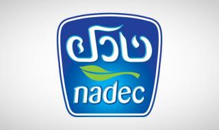 تحديث مستمر : سعر سهم نادك (6010) تداول مباشر اليوم مع توقعات!