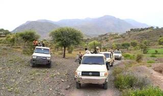 تعز.. التوصل إلى اتفاق ينهي الصراع بين قوات طارق صالح ومسلحي القبائل بالوازعية