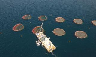 عُمان الأولى خليجيًّا وتحتل المرتبة الـ 17 عالميًّا في مؤشر المصائد السمكية