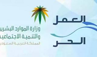 طريقة إصدار وثيقة العمل الحر الأسر المنتجة