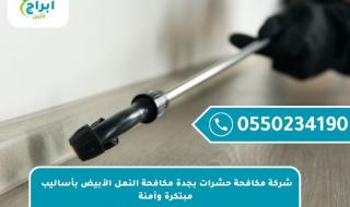 شركة مكافحة حشرات بجدة مكافحة النمل الأبيض بأساليب مبتكرة وآمنة