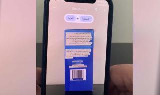 الترجمة من خلال الصور