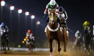 الطائف تحتضن منافسات قوية في الأسبوع الثاني من موسم سباقات الخيل