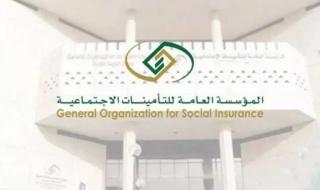 وظيفتك تبدأ من هنا.. التأمينات تطلق برنامج تمهير 2025 بالتعاون مع هدف