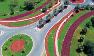 55 مليون متر مربع مساحات دبي الخضراء