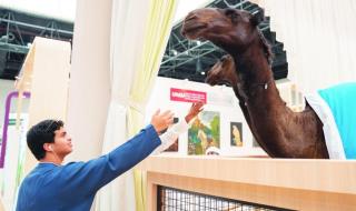 مركز الإمارات للأبحاث البيولوجية يكشف عن أول «ذئاب عربية» مستنسخة