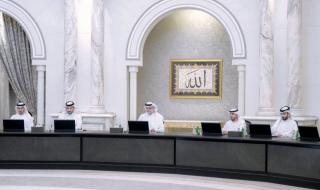 «تنفيذي الشارقة» يعتمد الهيكلين التنظيميين لـ«هيئة البيئة» و«الدفاع المدني»