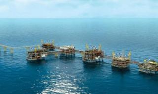 اكتشاف كنز لا يوجد له مثيل في العالم بباطن البحر في السعودية.. والبهجة تدخل على جميع المواطنيين!