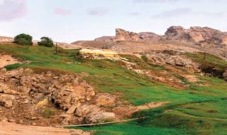 حملات توعية بإرشادات السلامة خلال رحلات البر في أبوظبي