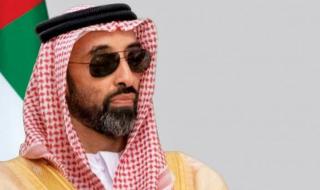 طحنون بن زايد: بلادنا أثبتت في 17 يناير أن الأوطان تُبنى بالصبر والإرادة