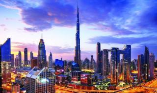 التعليم والتكنولوجيا يقودان نمو التوظيف في الإمارات