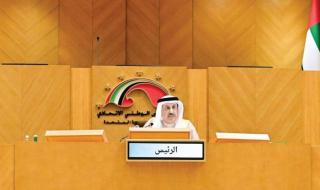 «الوطني الاتحادي» يتبنّى 18 توصية للصناعات الدوائية والمستلزمات الطبية