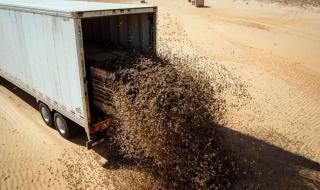 بعد فشل النحل.. كيف هزمت "أحواض الهلال" الصحراء ؟