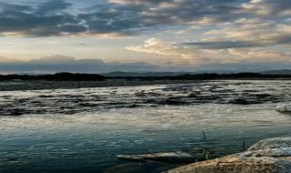 انتبه قبل أن تقع فيها.. غرامة تصل إلى 10 آلاف ريال لهذه المخالفة