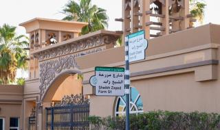 ترتبط بمرحلة تاريخية وطنية.. إطلاق اسم مزرعة الشيخ زايد على شارع الفاغي في الخوانيج