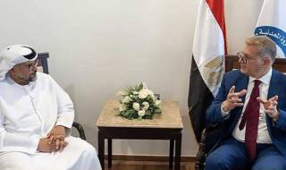 مصر والإمارات تبحثان توسيع الشراكة في مجال البترول والطاقة