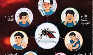 حمّى الضنك.. من الأعراض العابرة إلى المرحلة الحرجة