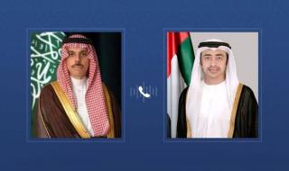 عبدالله بن زايد يجري اتصالاً هاتفياً مع وزير الخارجية السعودي