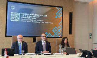 «النقد الدولي»: الإمارات تقود التعافي الإقليمي بنمو 7.7% في 2027