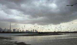 الإمارات.. طقس الغد صحو غائم جزئياً