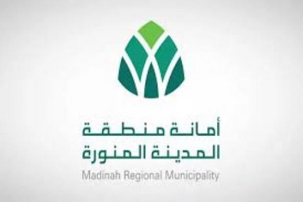 تجربة جديدة تبتكرها 'أمانة المدينة': خدمة 'الأمانة الافتراضية' في متناول يدك